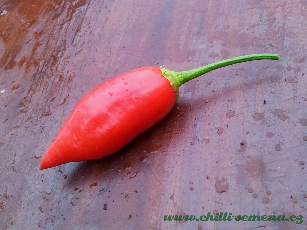 Chilli Aji Benito