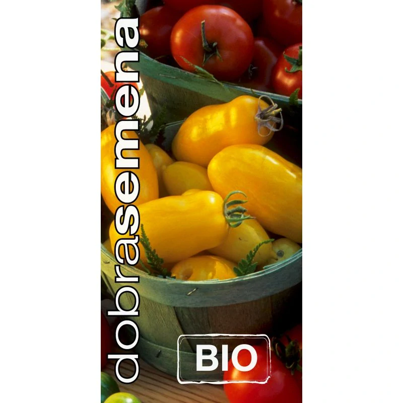 Rajče Banana Legs Bio 2ks v květináči