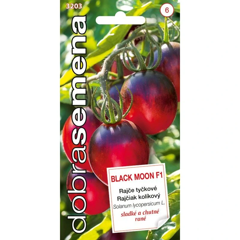 Rajče Black Moon 2ks v květináči