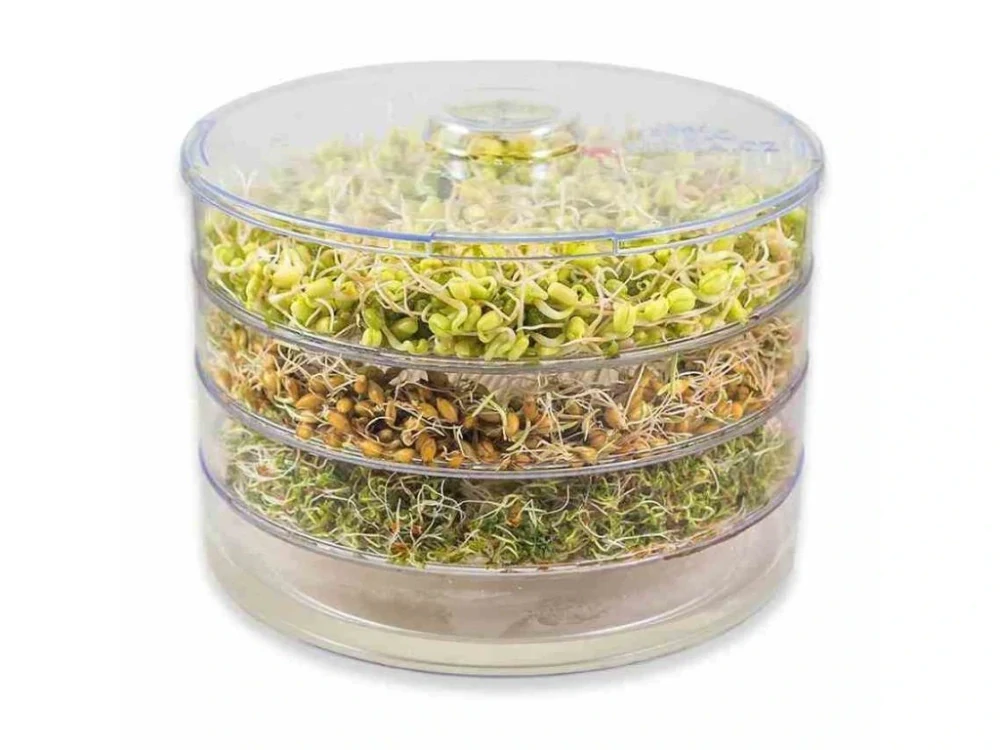 Miska na klíčení semínek, microgreens