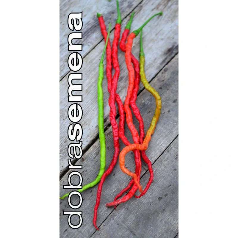 Chilli Dolly Long Red