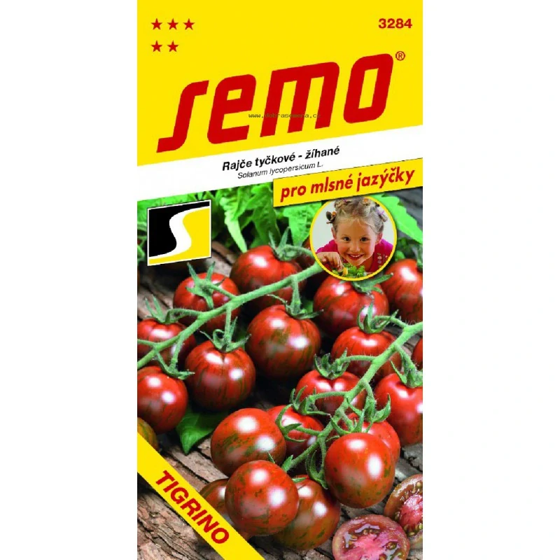 Rajče Tigrino 2ks v květináči
