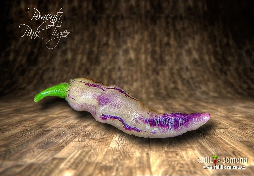 Chilli Pimenta Pink Tiger