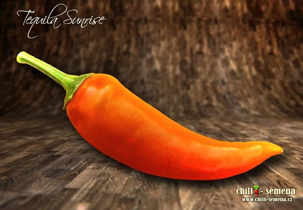 Chilli Tequila Sunrise