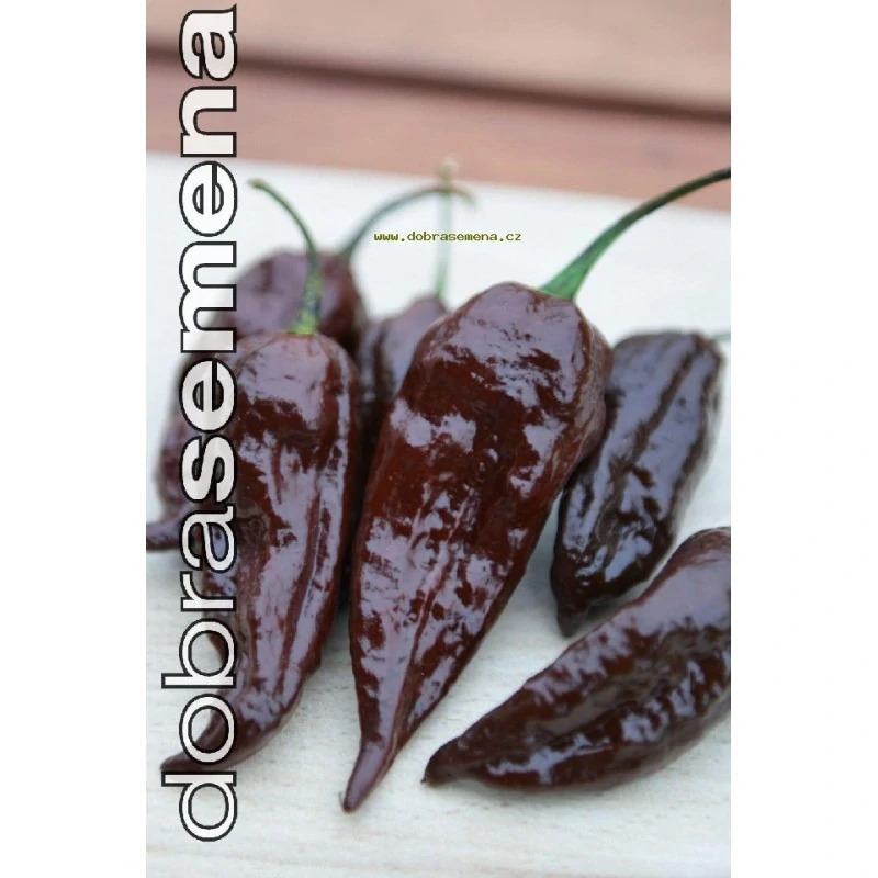 Chilli Bhut Jolokia Chocolate