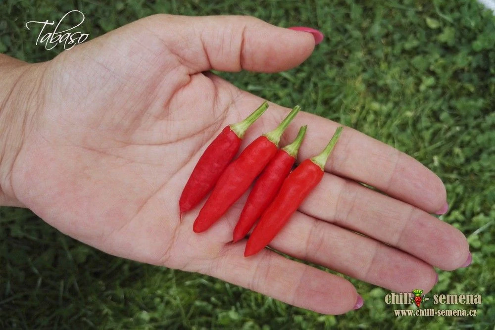 Chilli Tabasco